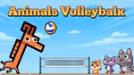 Animals Volleyball - Play Online