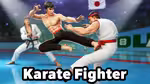 Karate Fighter - Play Online