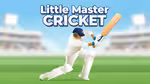Little Master Cricket - 在线游戏
