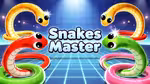 Snakes Master - Play Online